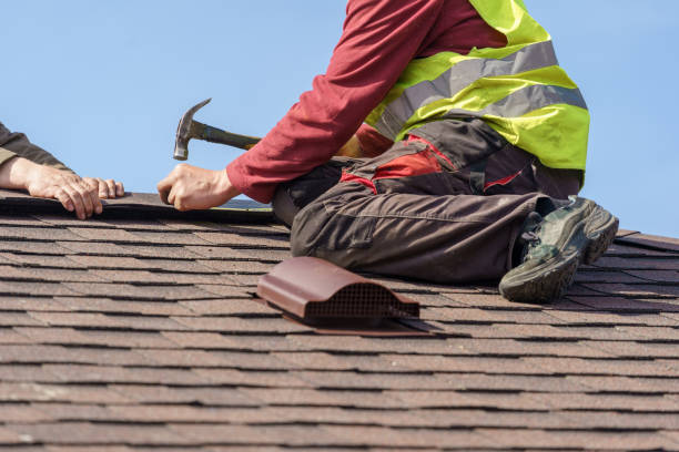 Roof Gutter Cleaning in Lucas, TX