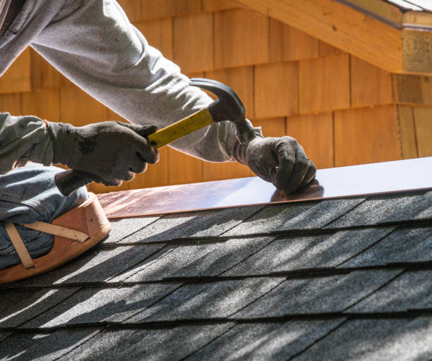 Roof Gutter Cleaning in Lucas, TX